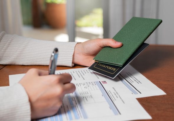 Freelance Visa