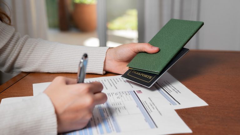 Freelance Visa